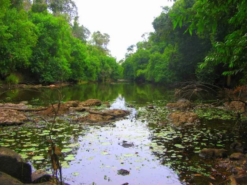 Captain Creek QLD 4677