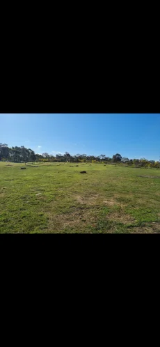 Additional image 18 of 244 Killeens Lane, Derrinal VIC 3523