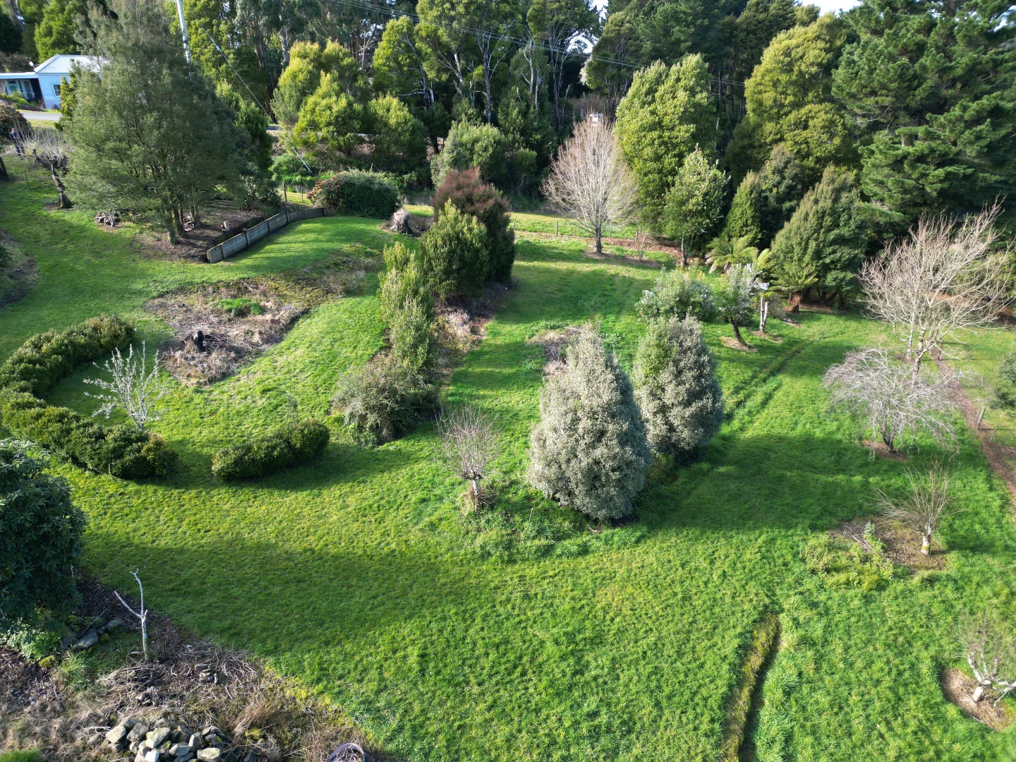 Additional image 6 of 3 Gardner Street, Beech Forest VIC 3237