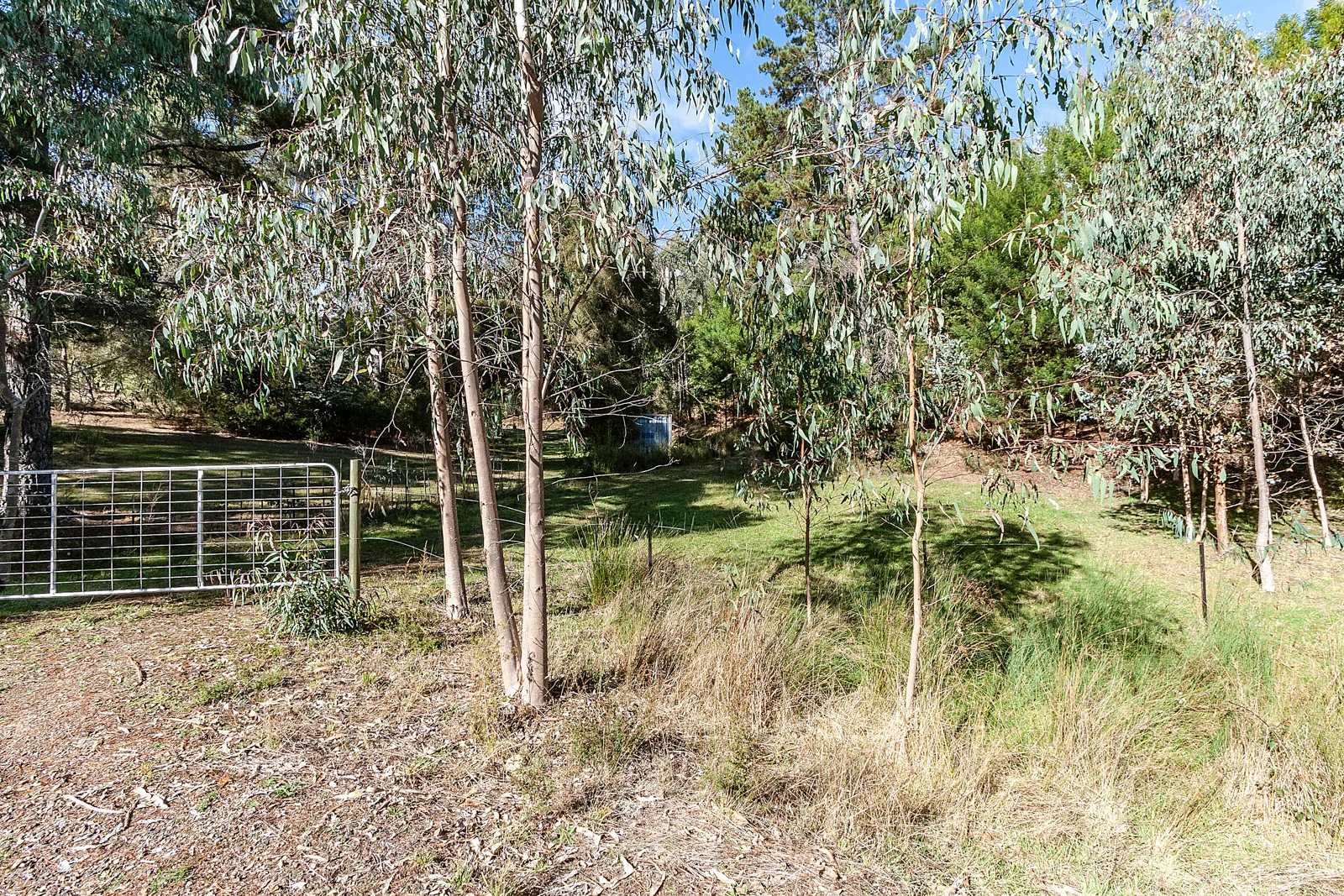 Additional image 9 of 158 Taylor Bay Right Arm Road, Taylor Bay VIC 3713