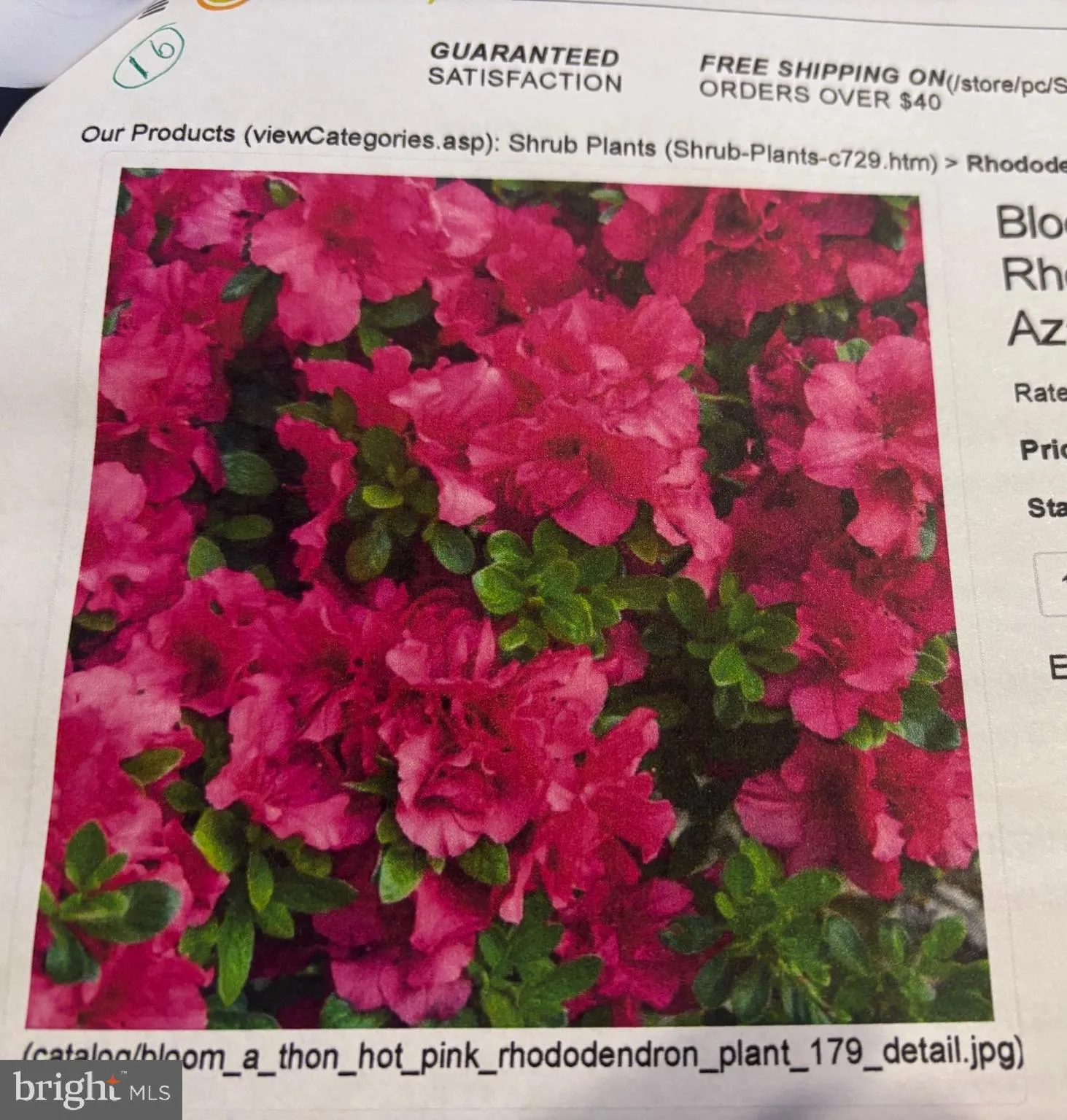 Additional image 136 of 6 Bradley Circle, Middletown, DE 19709