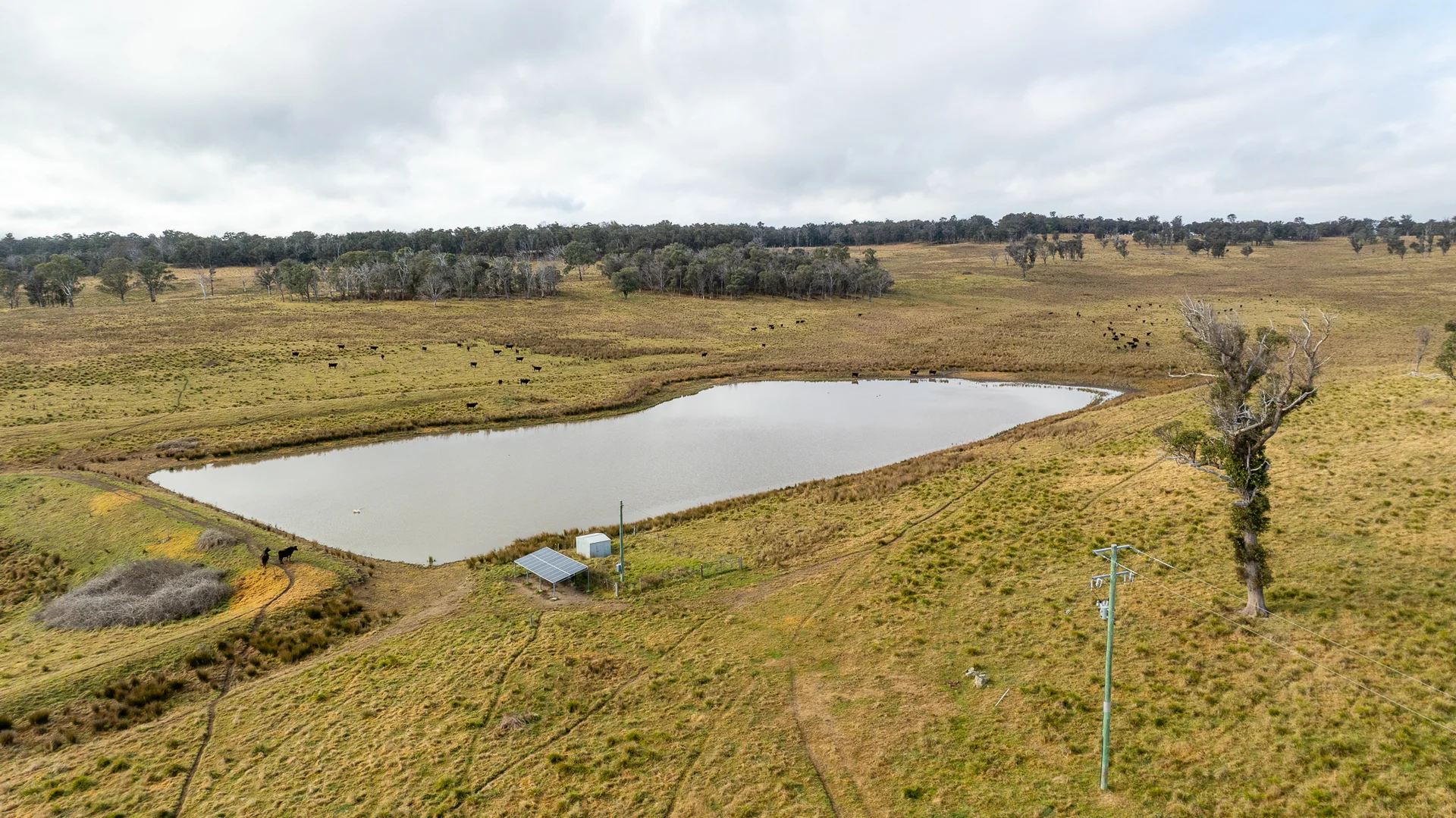 Additional image 5 of 737 Dyamberin Road, Wongwibinda NSW 2350