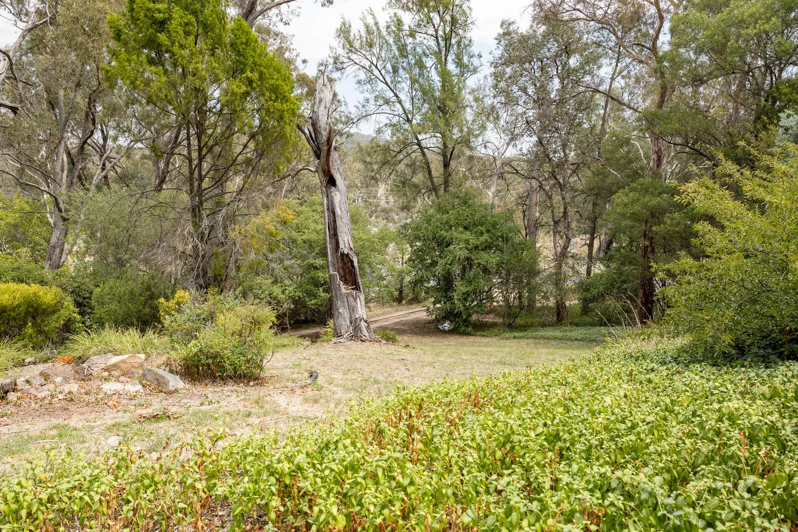 136 Dryandra Street, O'Connor ACT 2602