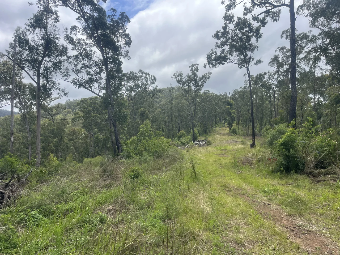 Additional image 20 of 173 Knodingbul Forest Road, Mount George NSW 2424