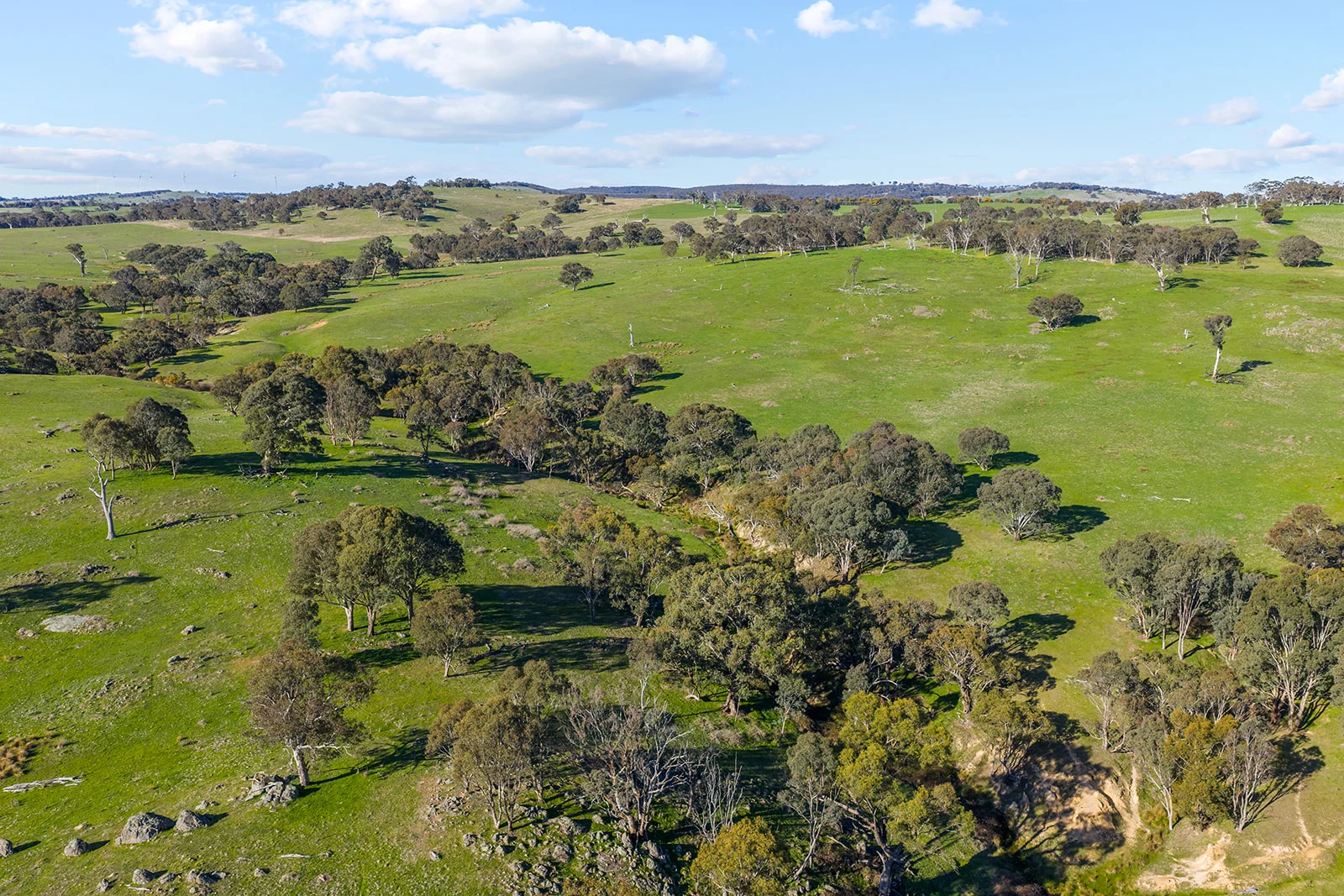 Additional image 29 of 1432 Lachlan Valley Way, Laverstock NSW 2582