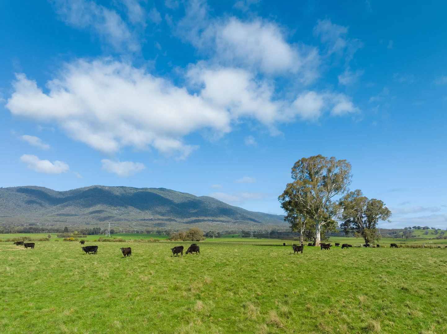 Additional image 14 of 1036 Taggerty - Thornton Road, Thornton VIC 3712