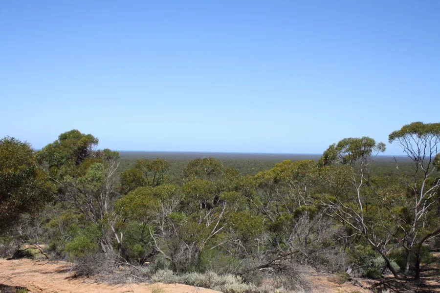 Additional image 11 of Section 6 Old Telegraph Road, Midgee SA 5602