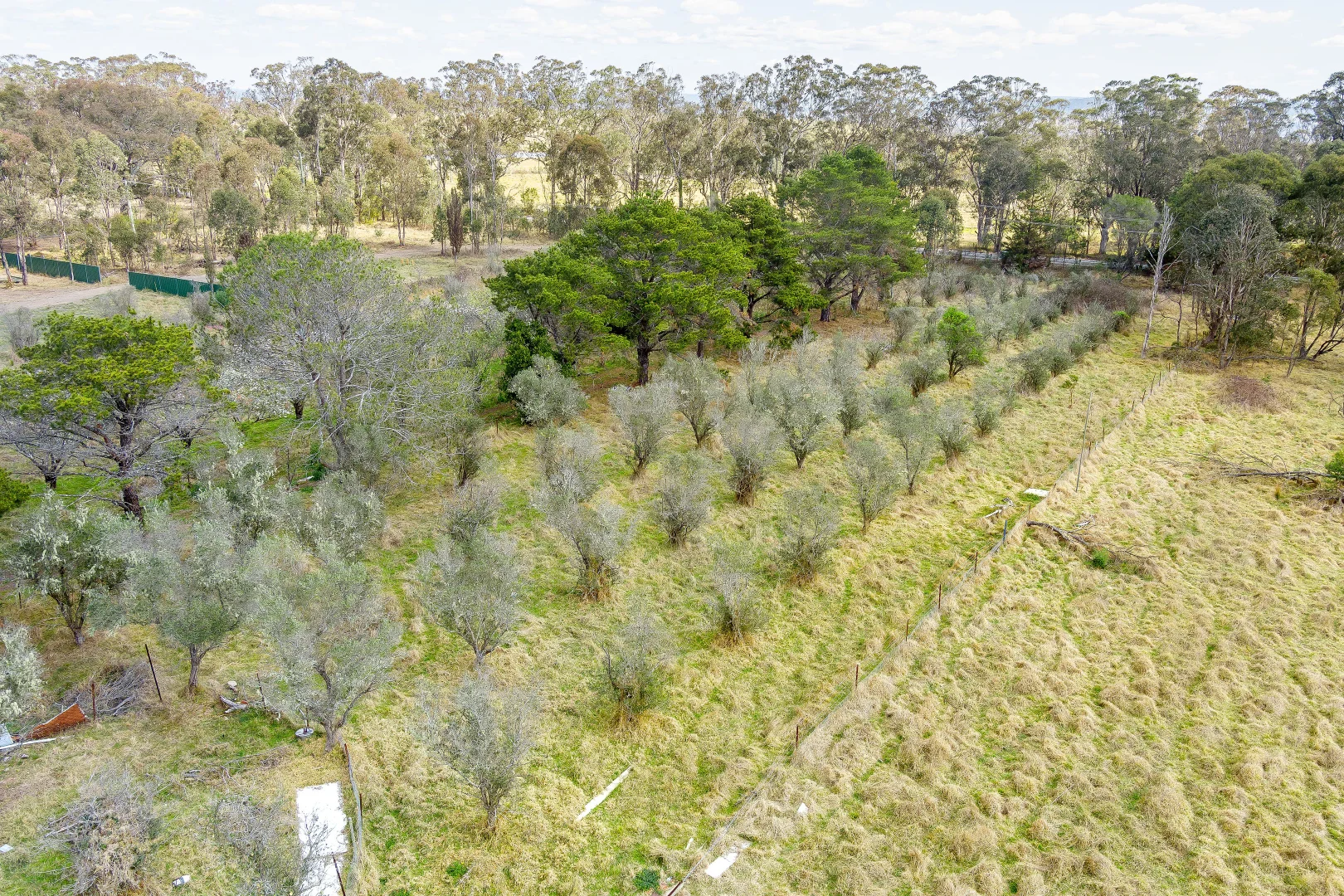 Additional image 8 of 490 Appin Road, Gilead NSW 2560
