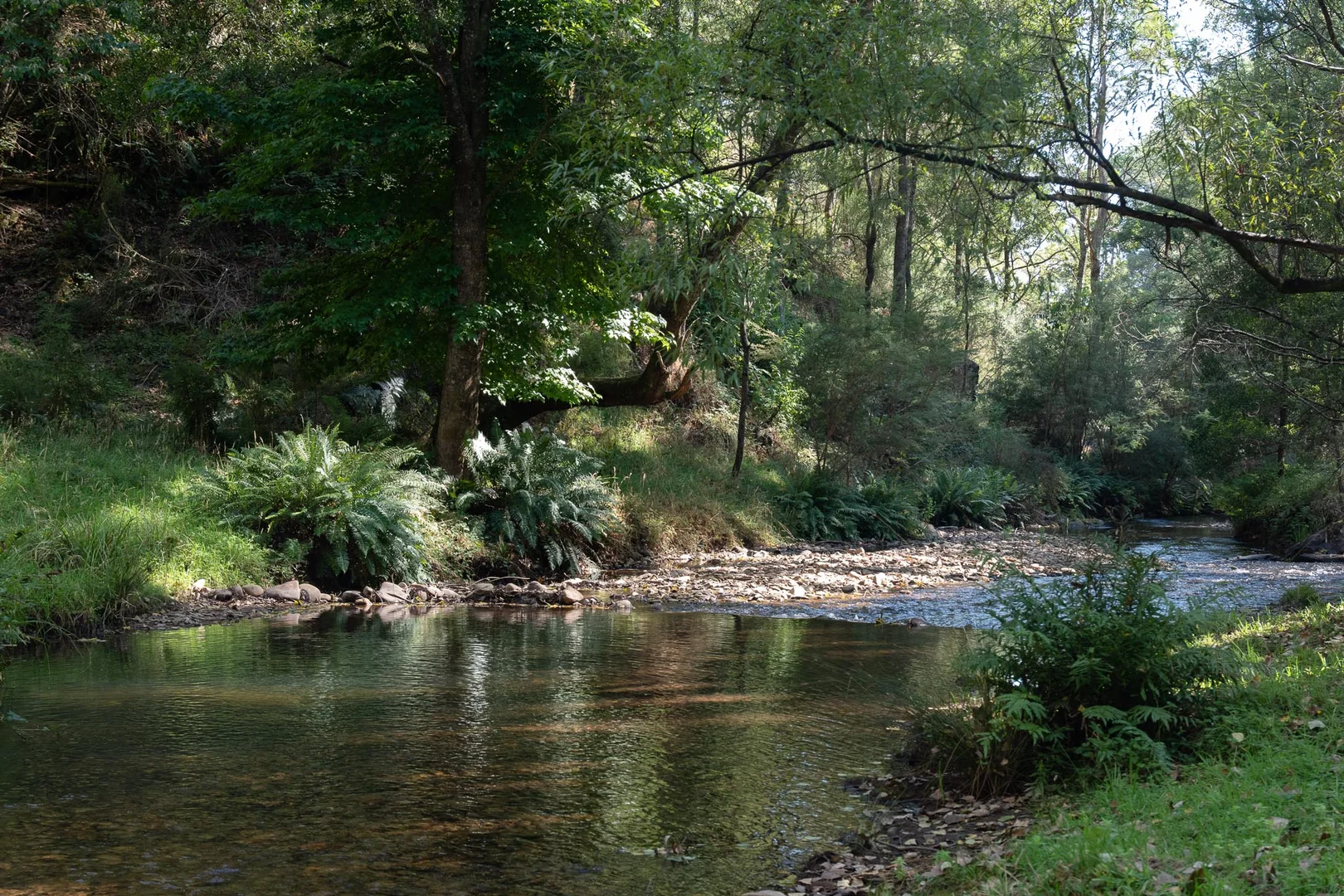 Additional image 5 of 194 Great Alpine Road, Harrietville VIC 3741