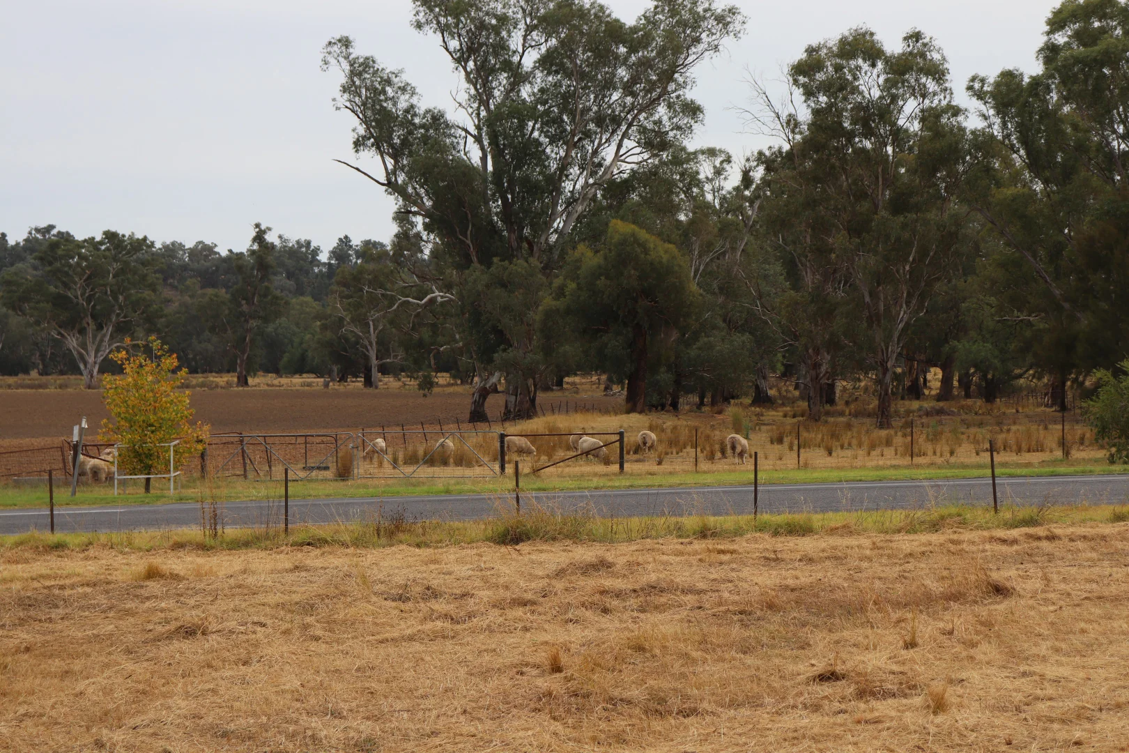 Additional image 12 of 1 Main Street, Gooloogong NSW 2805