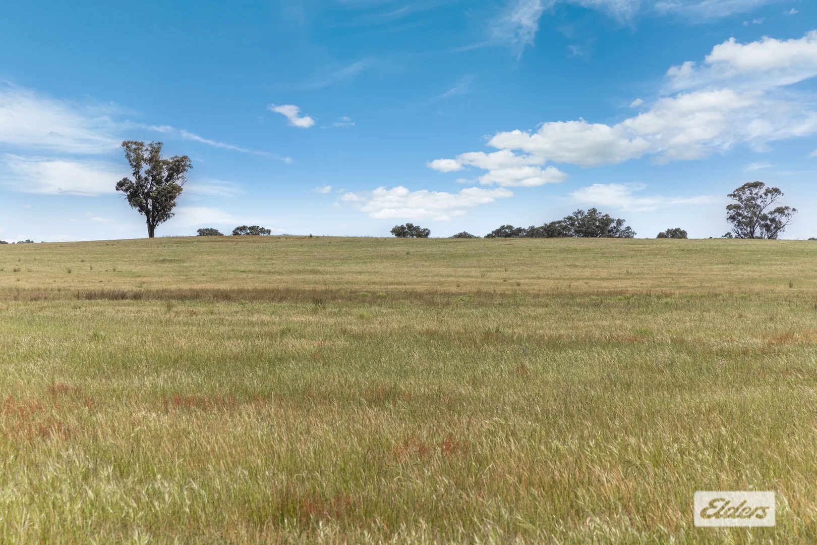 Additional image 8 of Three Chain Road, Woodvale VIC 3556