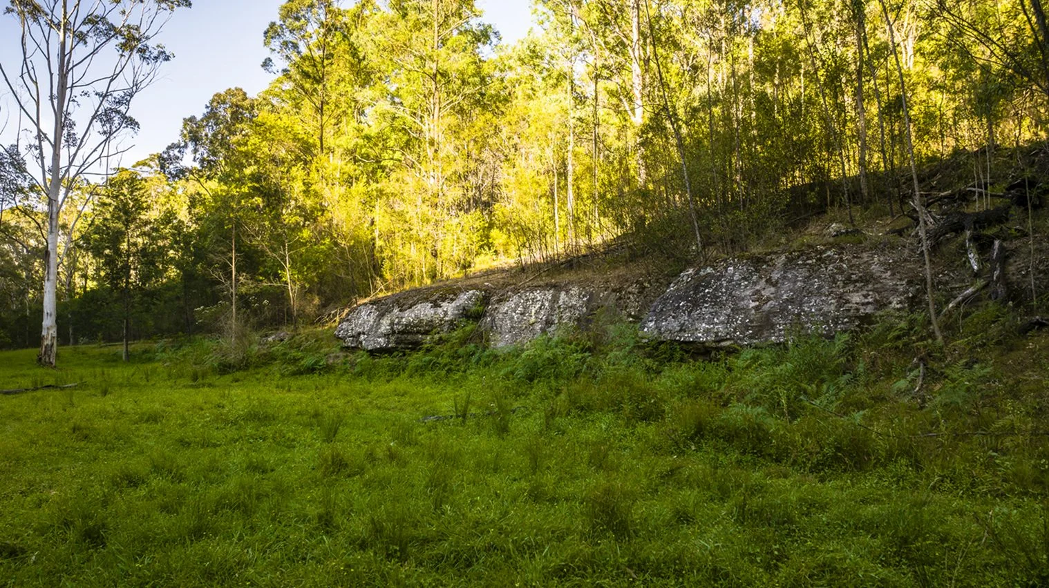 Additional image 24 of 56 Bakers Oven Lane, Laguna NSW 2325