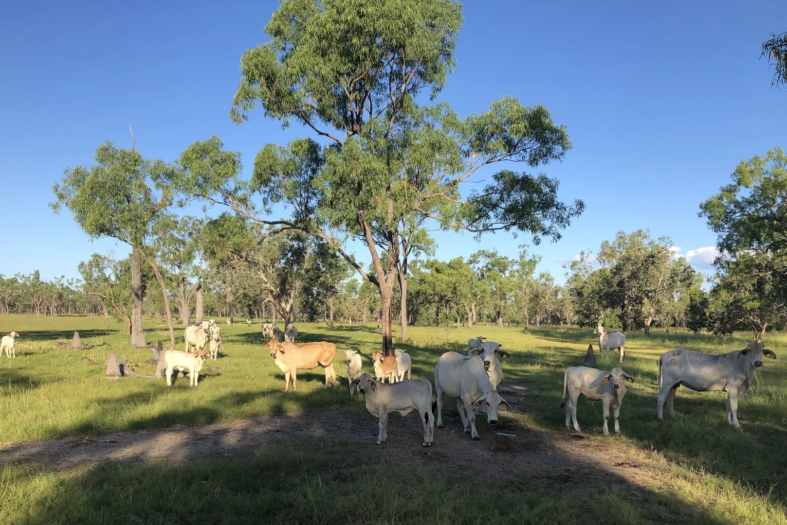 Additional image 12 of 0 Burke Developmental Road, Normanton QLD 4890