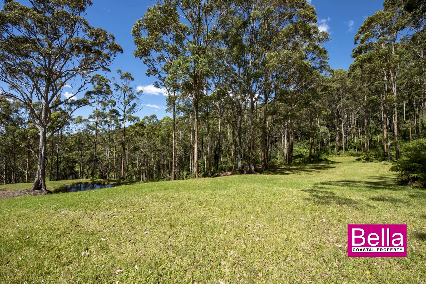 Additional image 9 of 41 Old Coach Road, Termeil NSW 2539