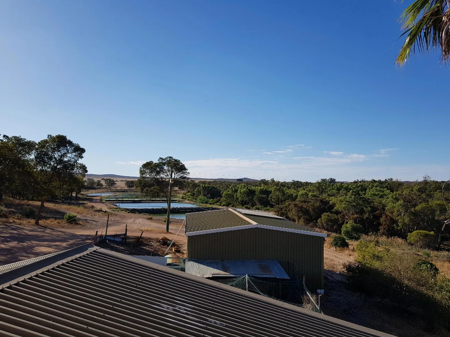 Additional image 11 of 1588 Cantabilling Road, Jurien Bay WA 6516