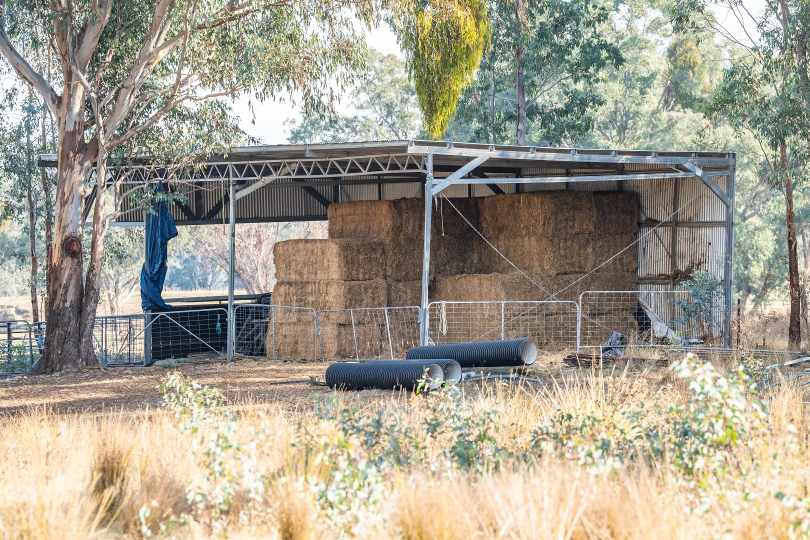 Additional image 16 of 979 Four Mile Lane, Little Billabong NSW 2644
