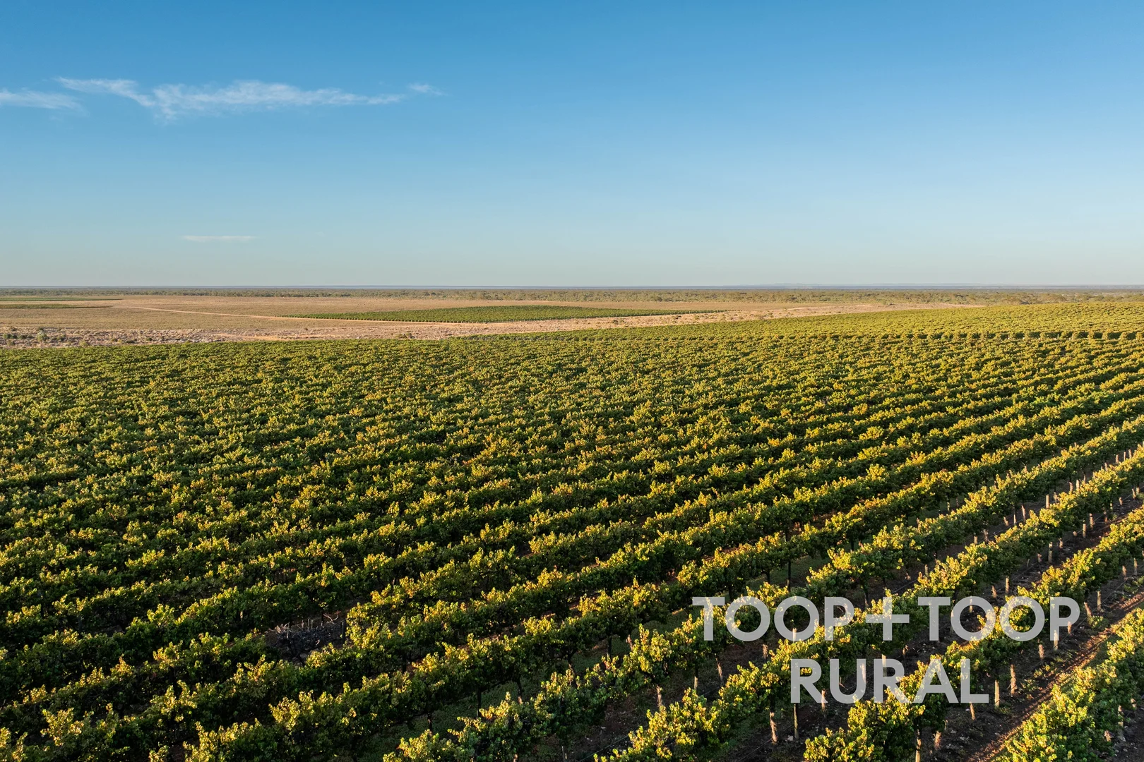 Additional image 13 of 365 Murraylands Road, Morgan SA 5320