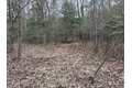 Additional image 38 of Old Bradley Rd, Mardela Springs, MD, 21837