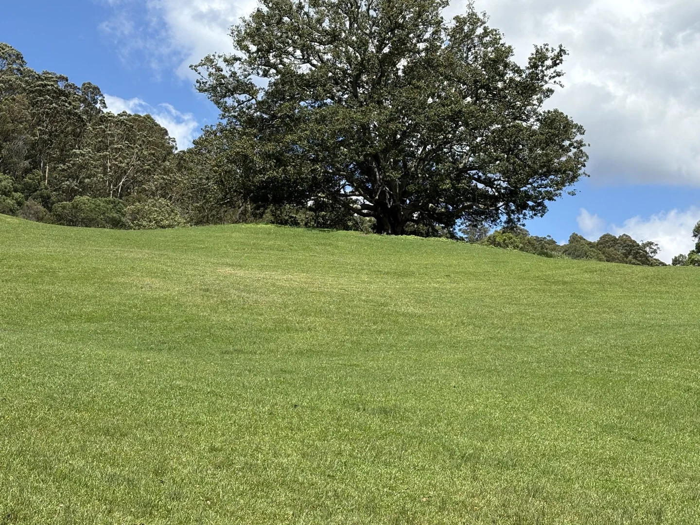 Additional image 12 of 65c Marden Lane, Kangaroo Valley NSW 2577