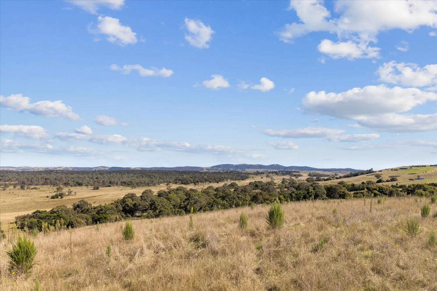 Additional image 38 of 134 Lakeview Road, Tarago NSW 2580