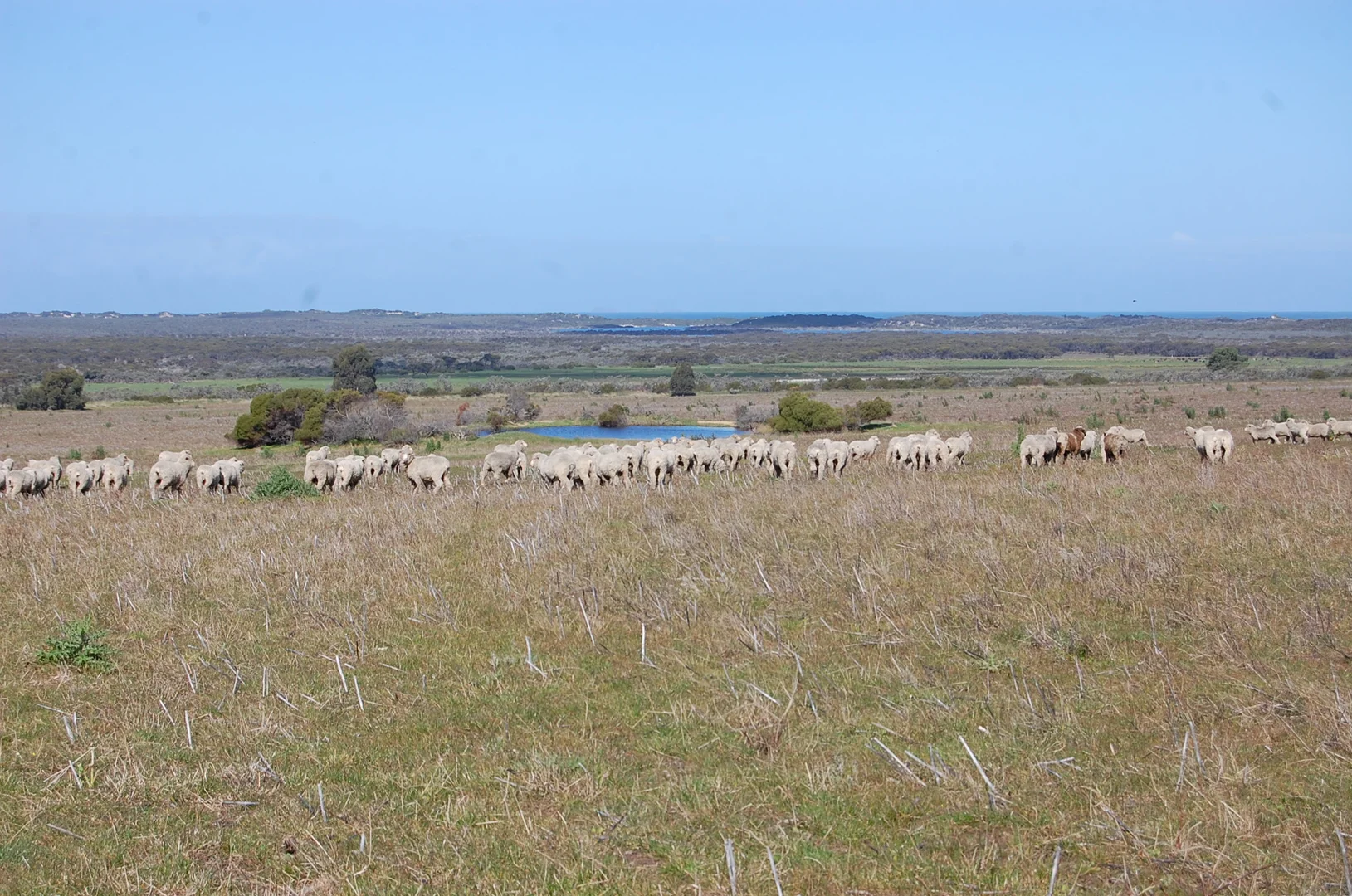 Additional image 4 of 1715 Coxalll Road, Munglinup WA 6450