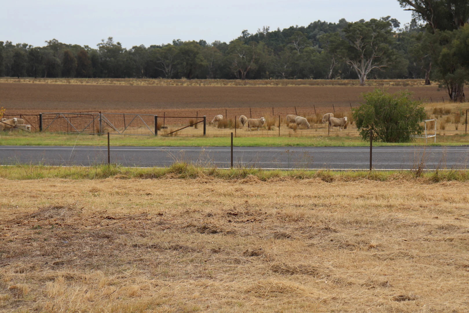 Additional image 14 of 1 Main Street, Gooloogong NSW 2805