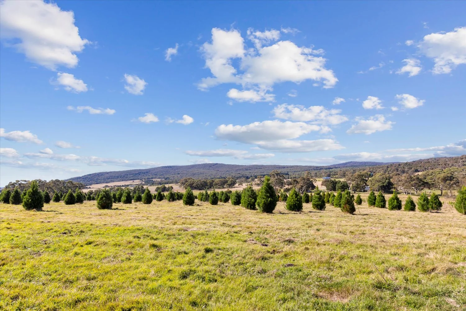 Additional image 36 of 134 Lakeview Road, Tarago NSW 2580