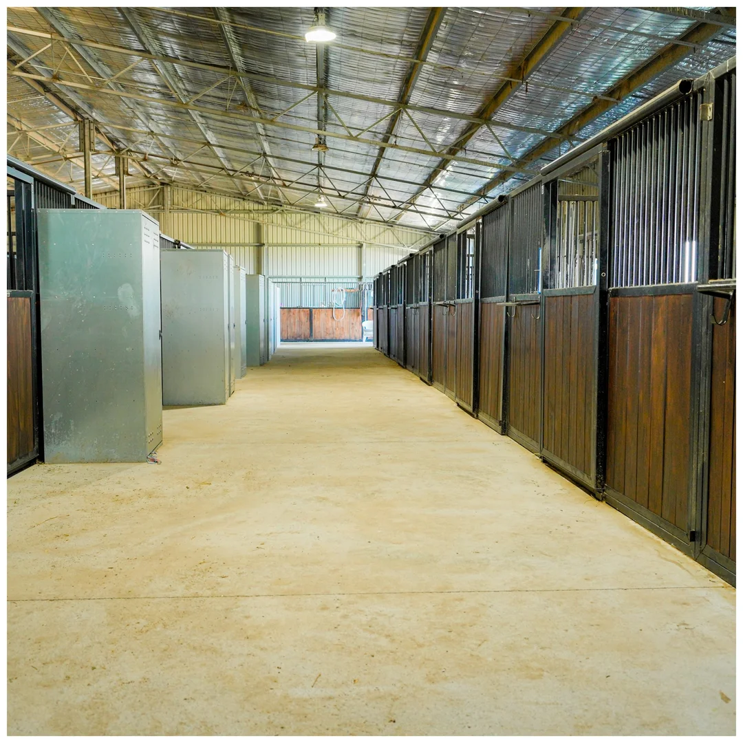 Additional image 9 of 240 SCOTCH CREEK ROAD, Millers Forest NSW 2324