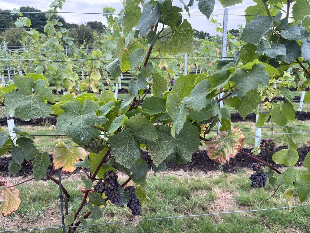 Additional image 20 of 6 bed detached house for saleHome Farm, Kemnal Road, Chislehurst BR7