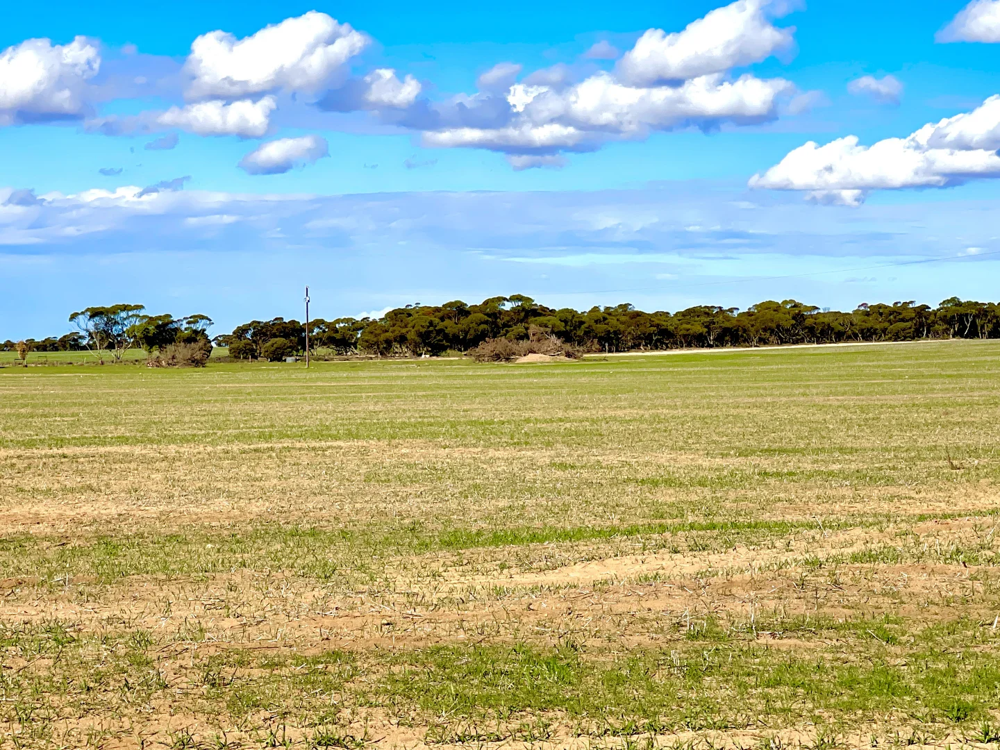 Additional image 7 of 1830 Finlayson Road, Petina SA 5680