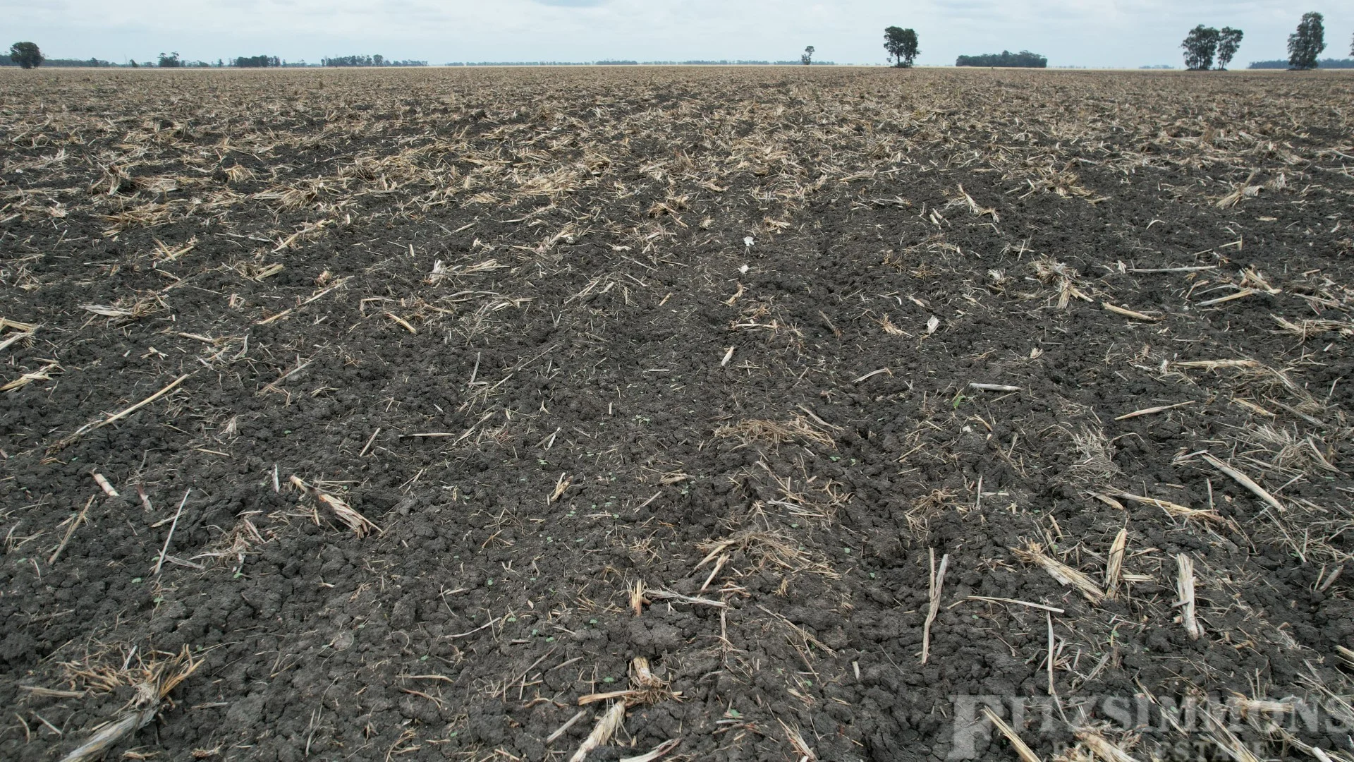 Additional image 8 of Jeitz Road, Warra QLD 4411