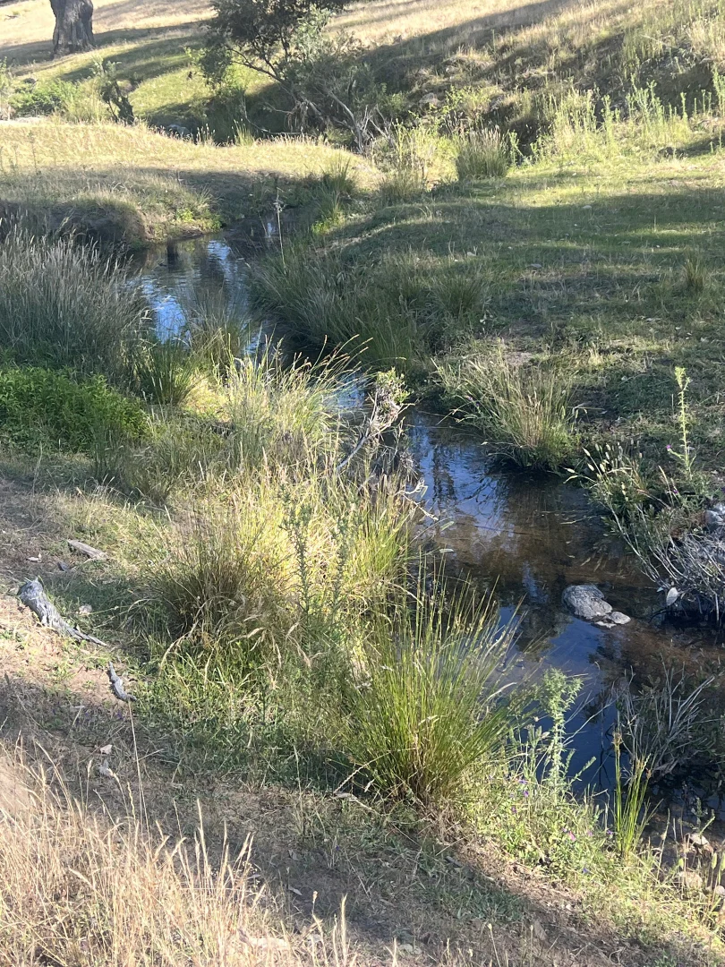 Additional image 8 of Lot 31 Lehmans Road, Talgarno VIC 3691