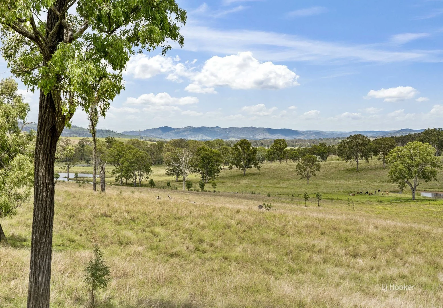 599 Spring Creek Road, Harlin QLD 4314