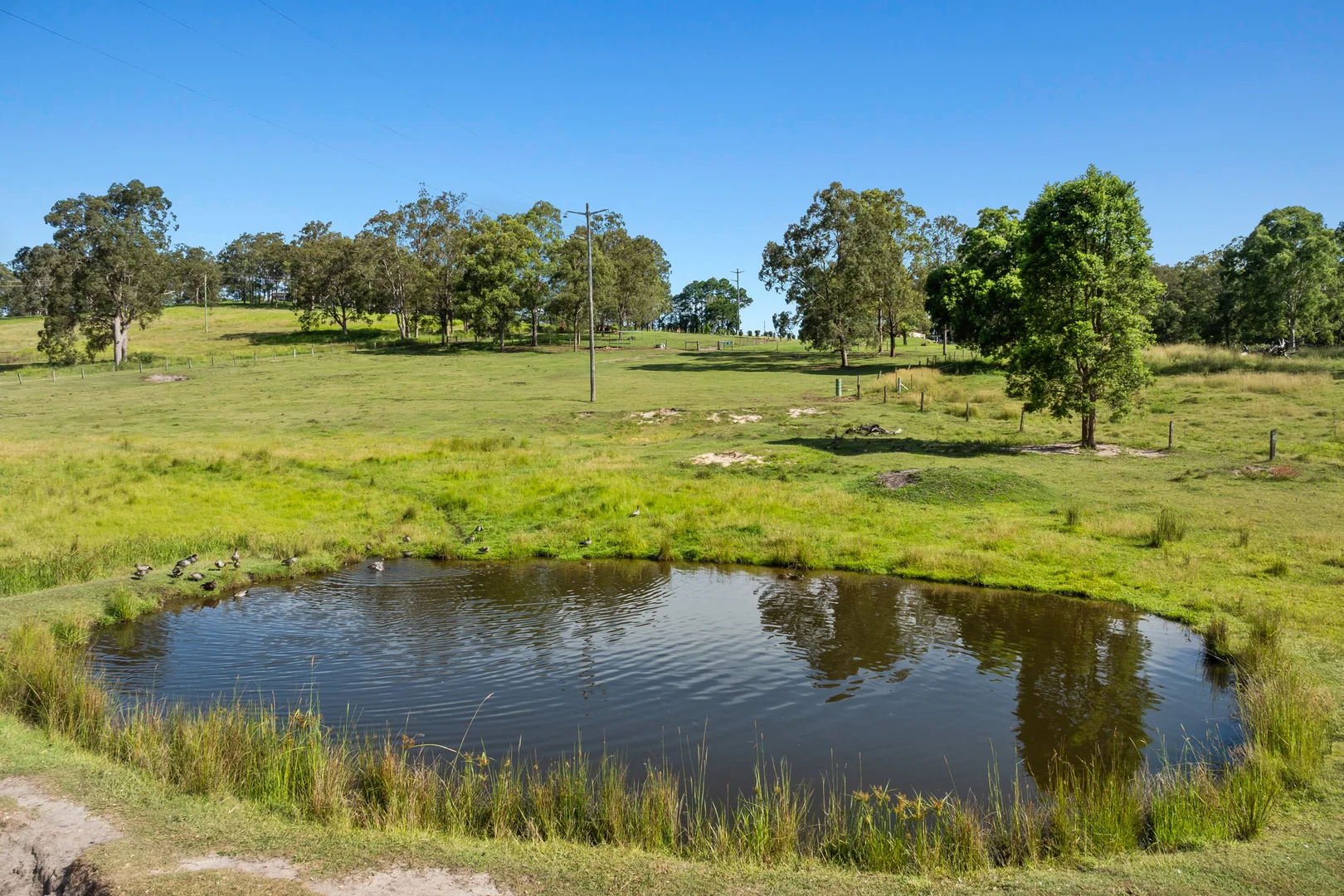 Additional image 21 of 127 Runnymede Road, Kyogle NSW 2474