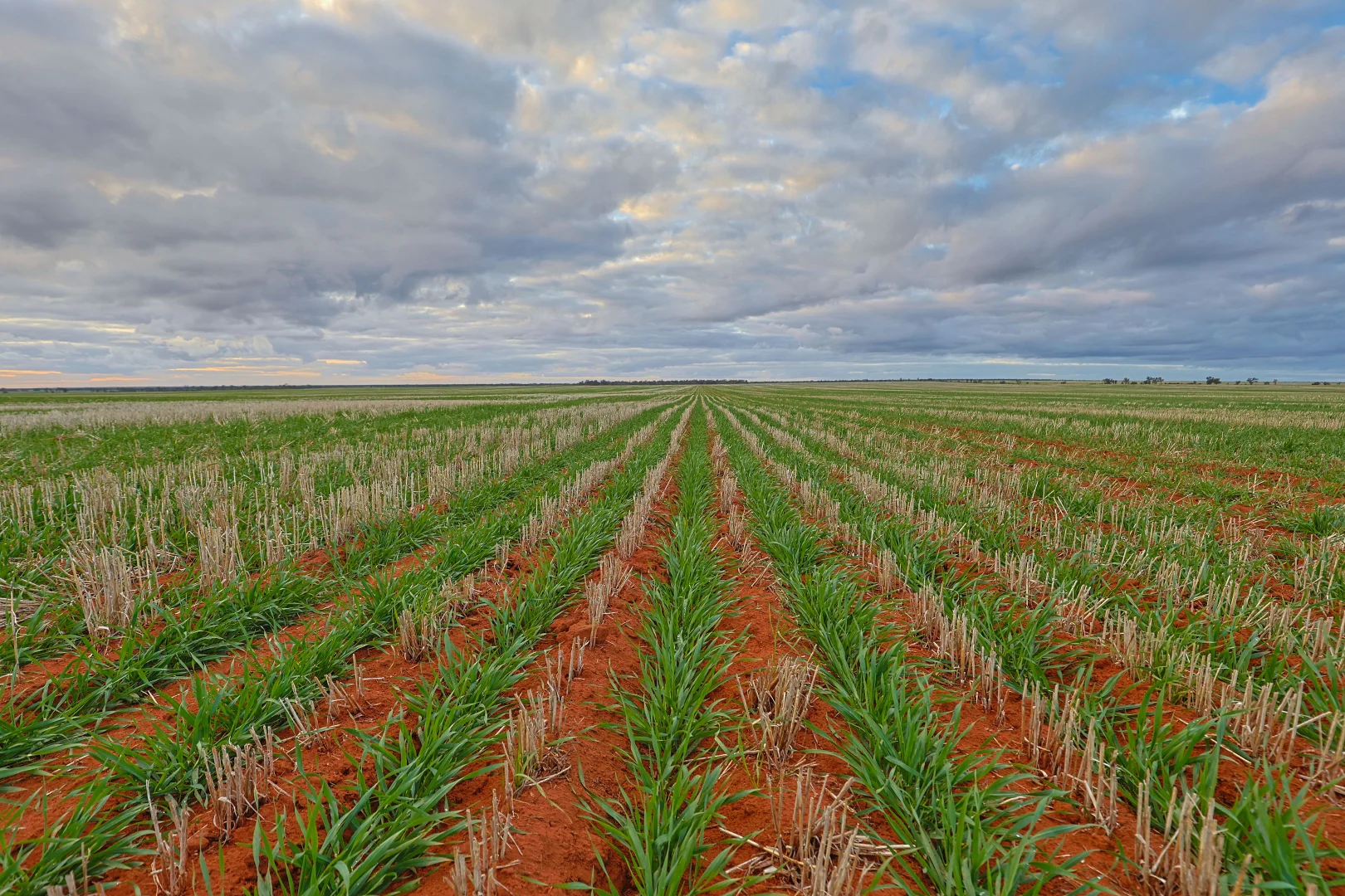 Additional image 9 of 2423 Petro Mail Road, Arumpo NSW 2715
