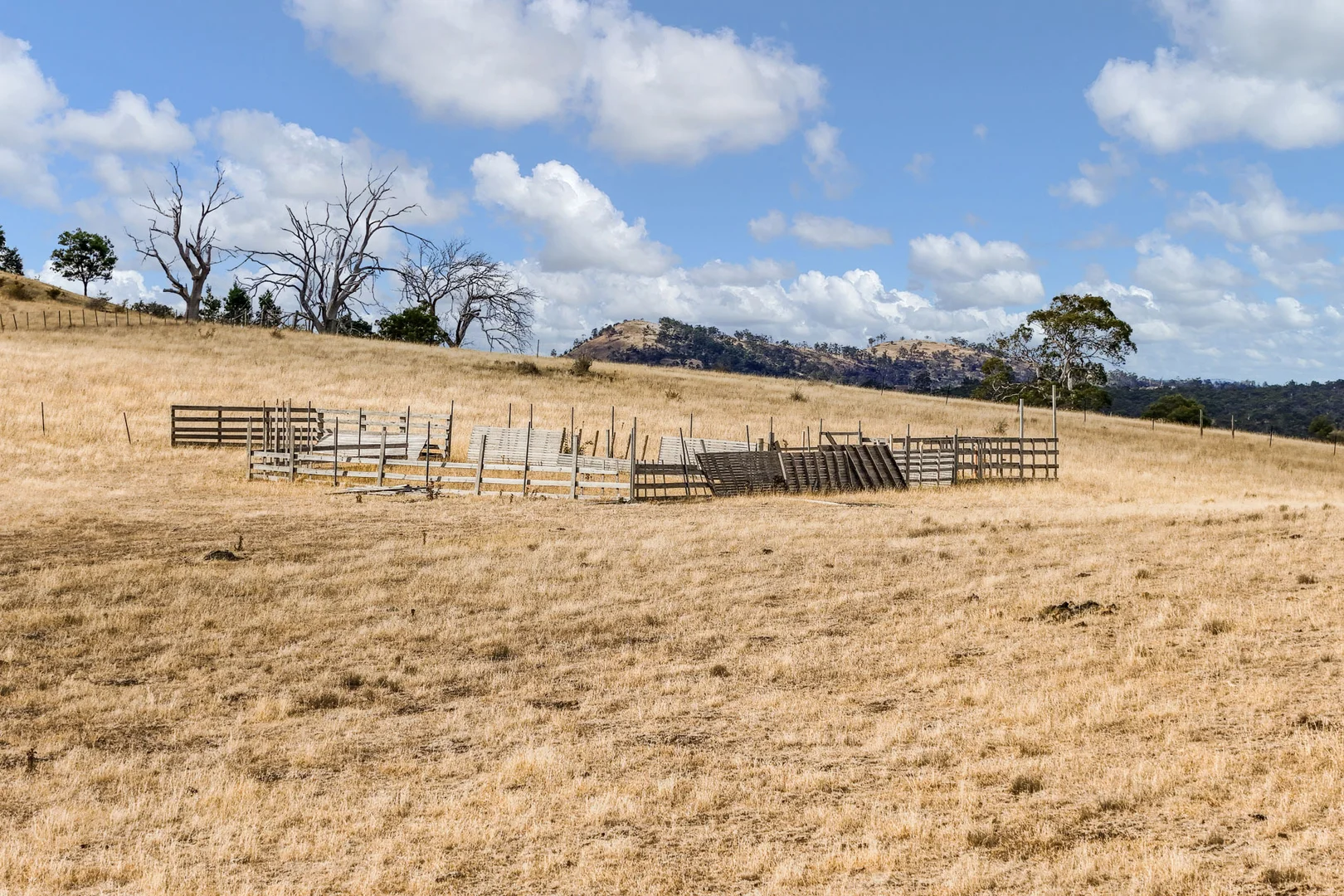 Additional image 13 of 210 Briggs Road, Honeywood TAS 7017