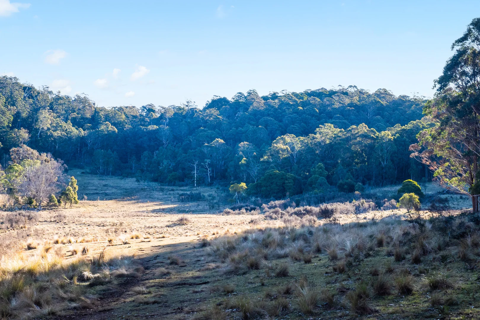 Additional image 35 of 1974 Tuross Road, Kybeyan NSW 2631