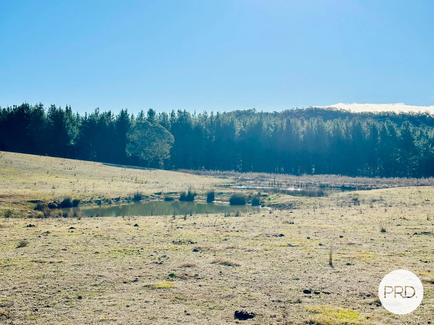 Additional image 24 of 233 Logans Road, Tumbarumba NSW 2653