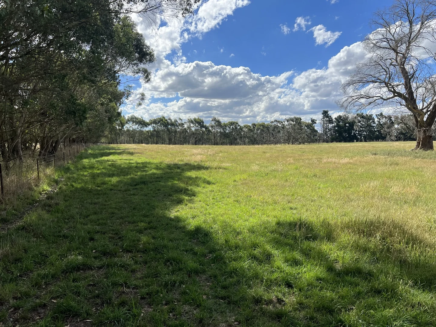 Additional image 37 of Lot 1 Mount Rae Road, Roslyn, Crookwell NSW 2583
