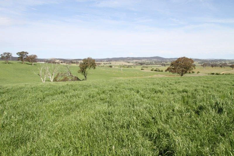 Additional image 7 of 3/83 Yass Valley Way, Manton NSW 2582