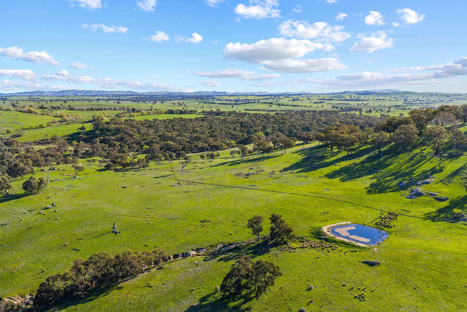 Additional image 25 of 1432 Lachlan Valley Way, Laverstock NSW 2582