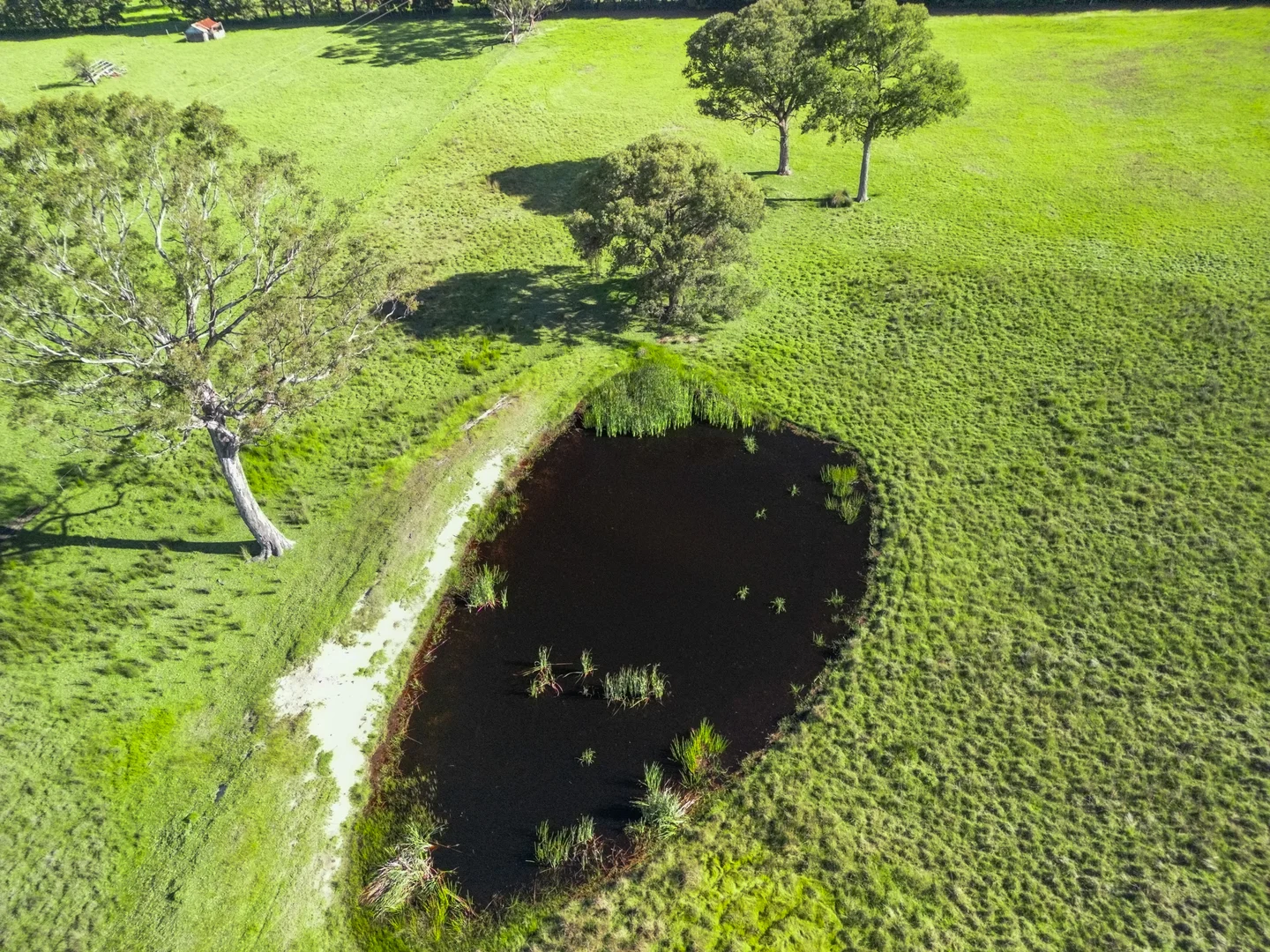 Additional image 8 of 500 Olivers Rd, Nicholson VIC 3882