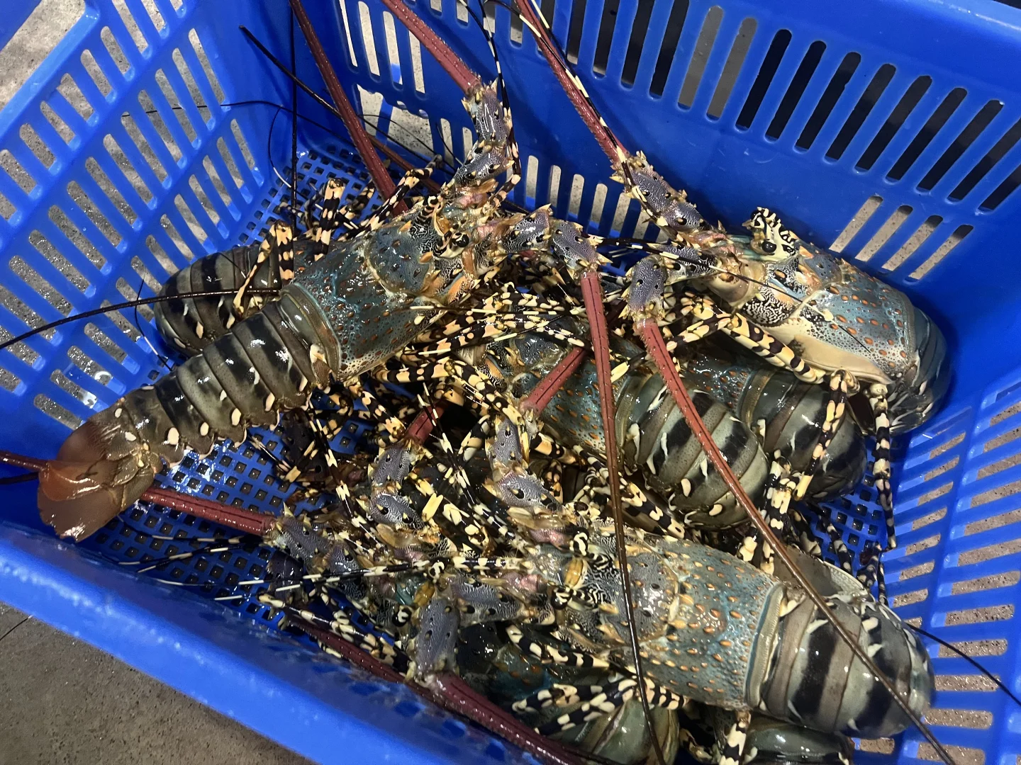 Additional image 3 of 43052 Bruce Highway, Clemant QLD 4816