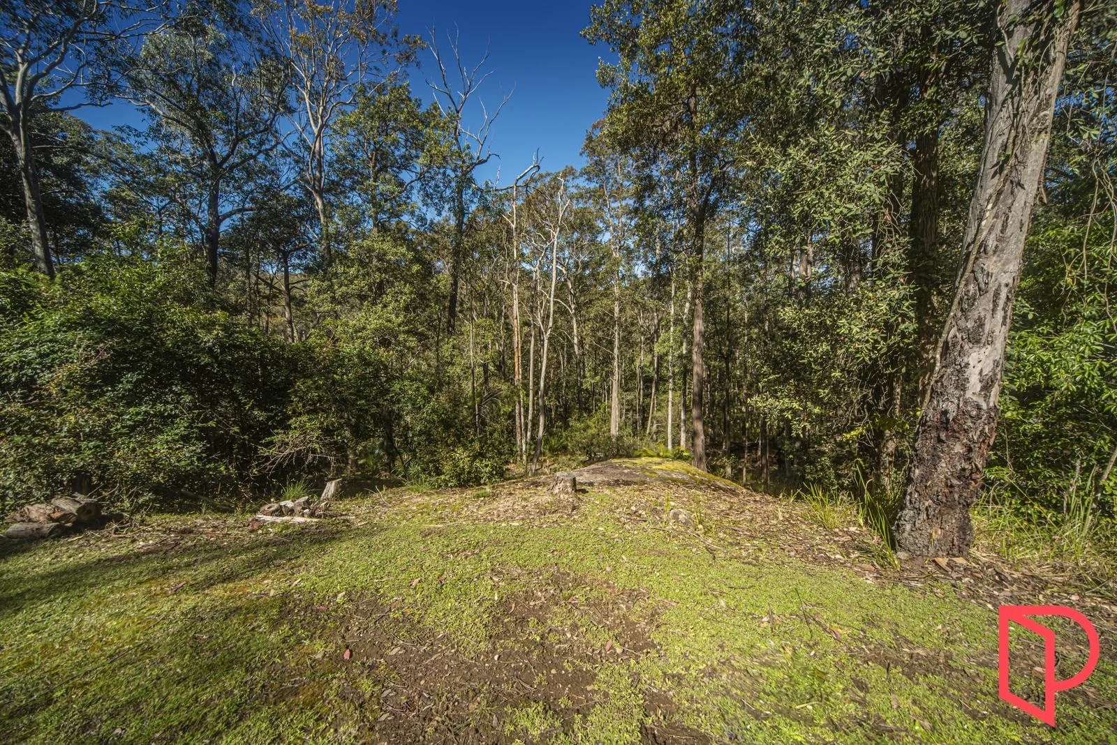 Additional image 4 of 52A Lilly Pilly Lane, Tapitallee NSW 2540