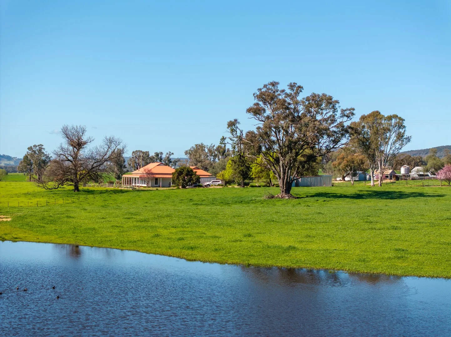 25 Wrigleys Road, Big Springs NSW 2650