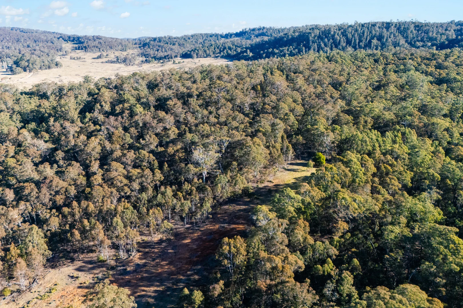 Additional image 25 of 1974 Tuross Road, Kybeyan NSW 2631