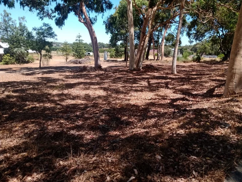 Additional image 4 of Prop Lots/98 Lawnbrook Road West, Walliston WA 6076