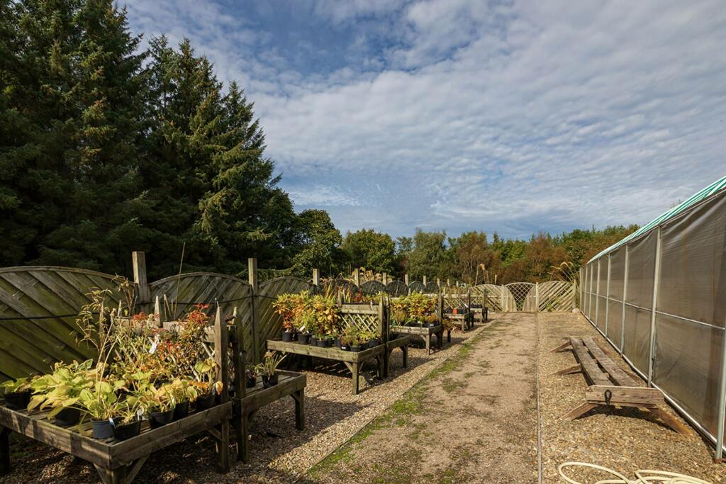Additional image 16 of Bauds Pet Care and Garden Centre, Woodhead Bauds, Buckie, AB56 4DY