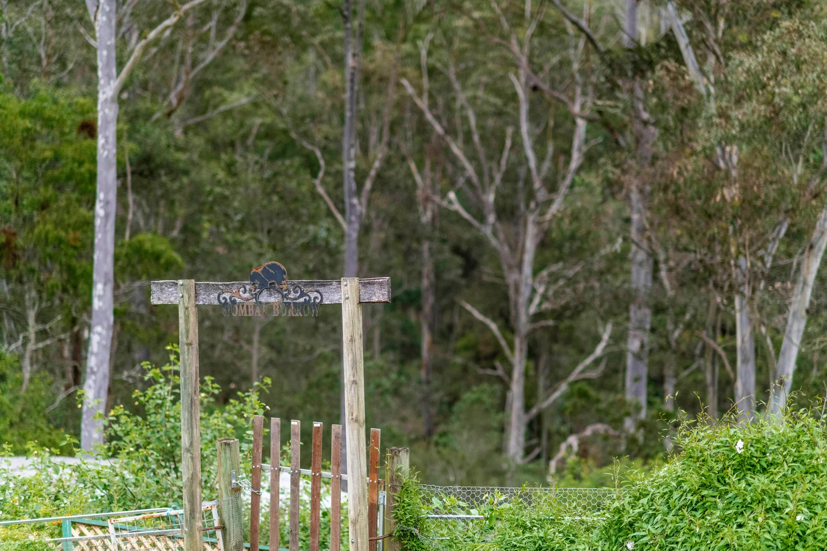 Additional image 17 of 149 Eastview Drive, Orangeville NSW 2570