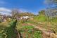 Additional image 24 of Morchard Bishop, Crediton, EX17
